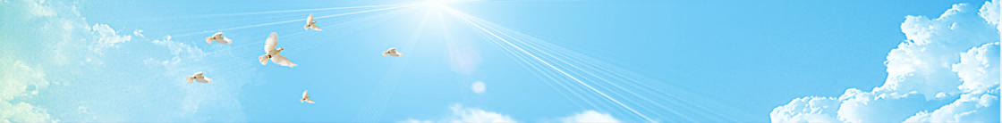 技术转移与融资中间图文2